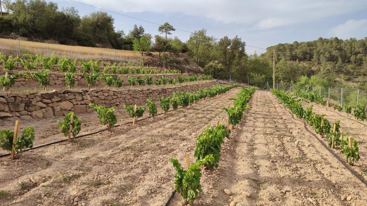 Cal Ros Bed & Breakfast Calonge de Segarra Bagian luar foto