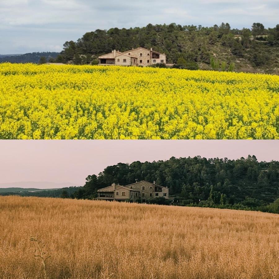 Cal Ros Bed & Breakfast Calonge de Segarra Bagian luar foto